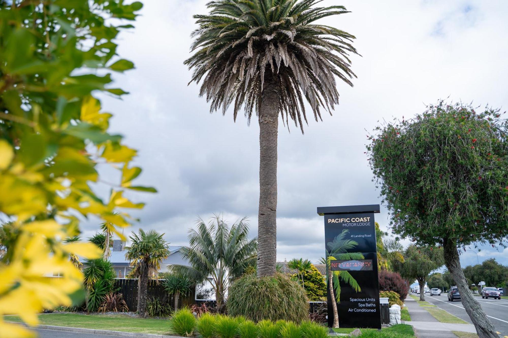 Pacific Coast Motor Lodge Whakatane Kültér fotó